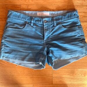 Carve Dogtown Shorts